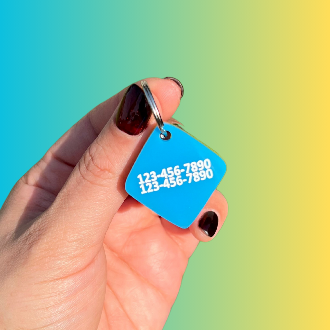 Cartoon Collar Pet Tag