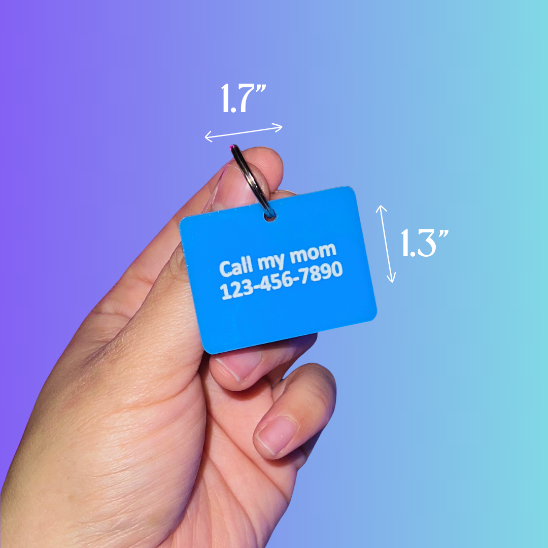 Texas Nametag Pet Tag