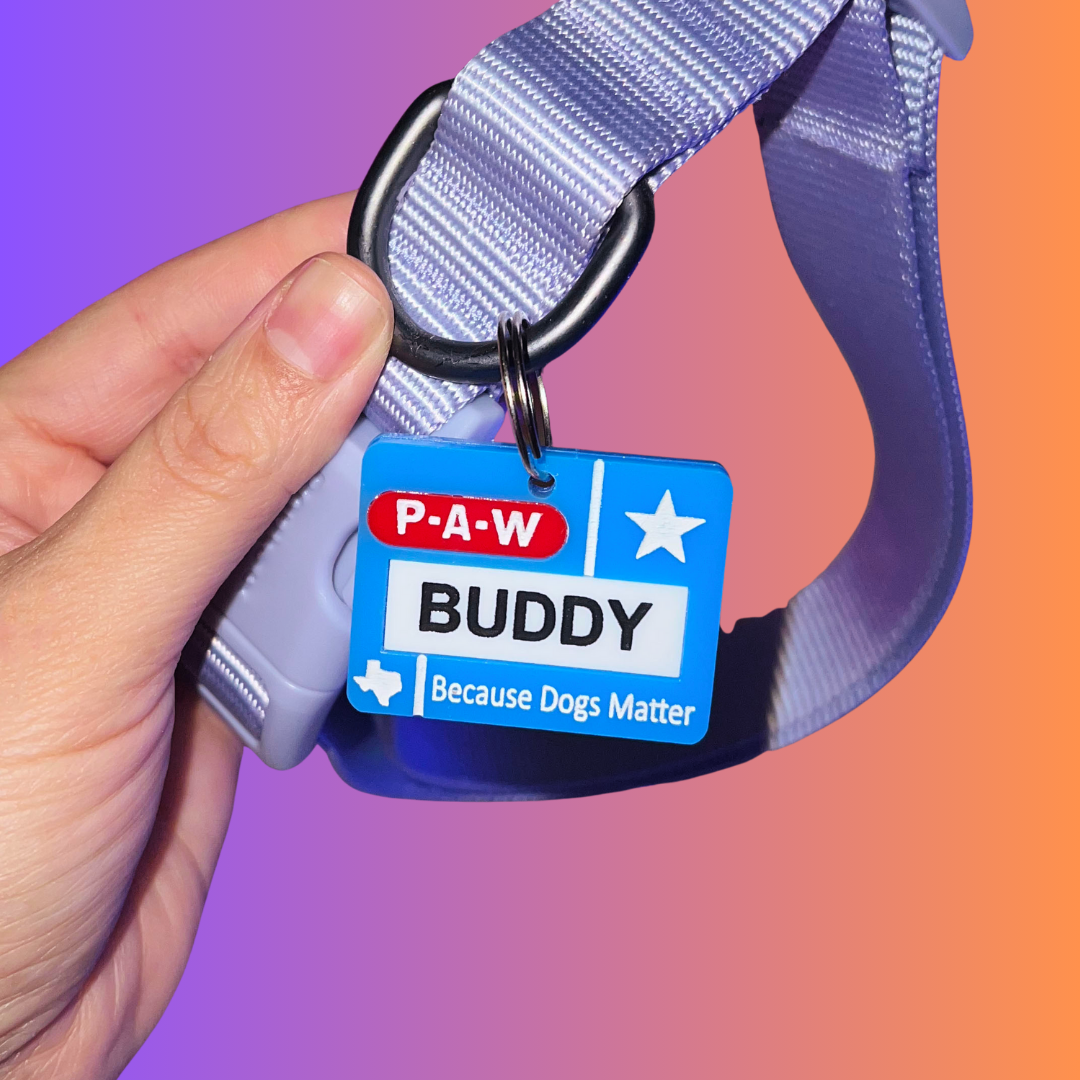 Texas Nametag Pet Tag