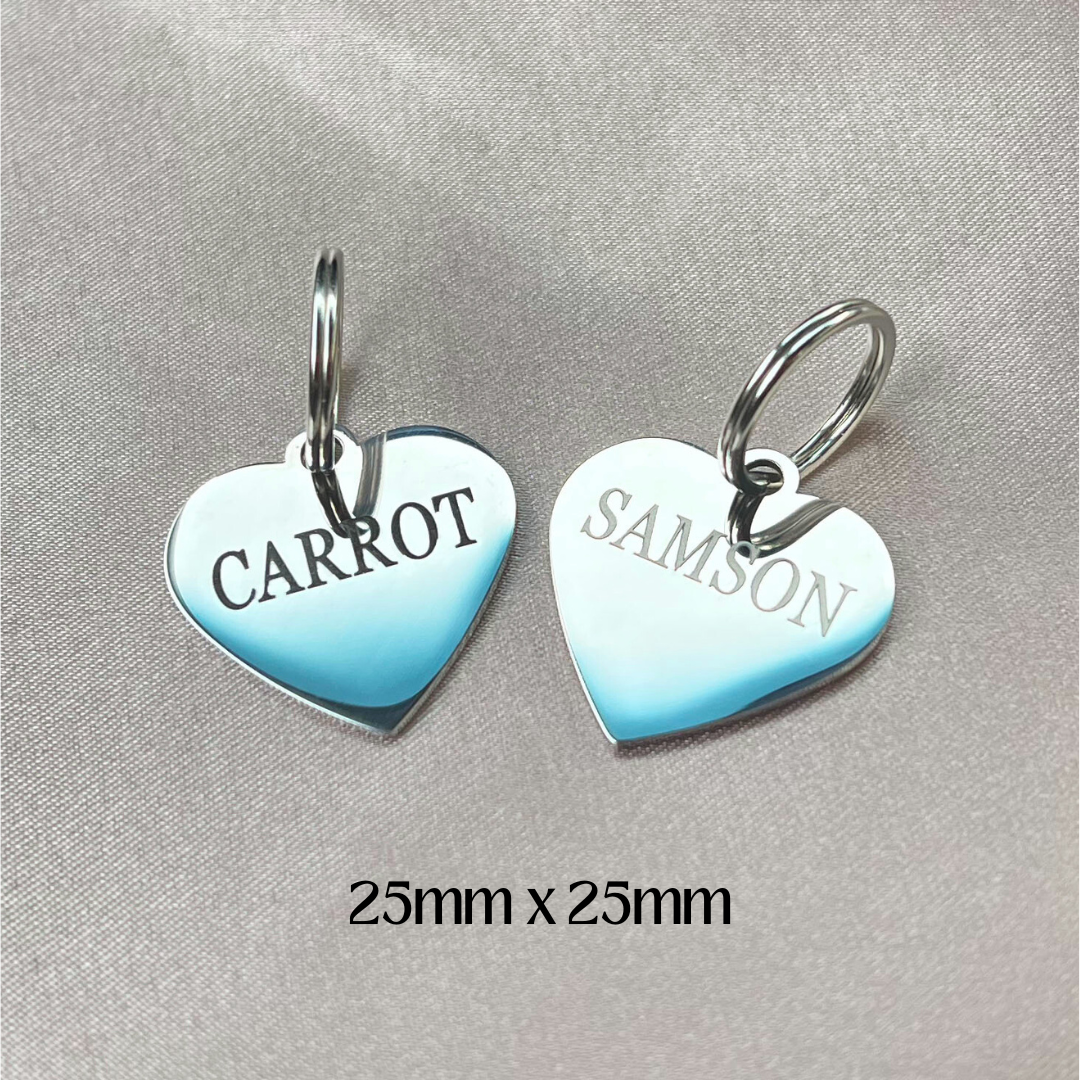 Custom Engraved Stainless Steel Pet Tag
