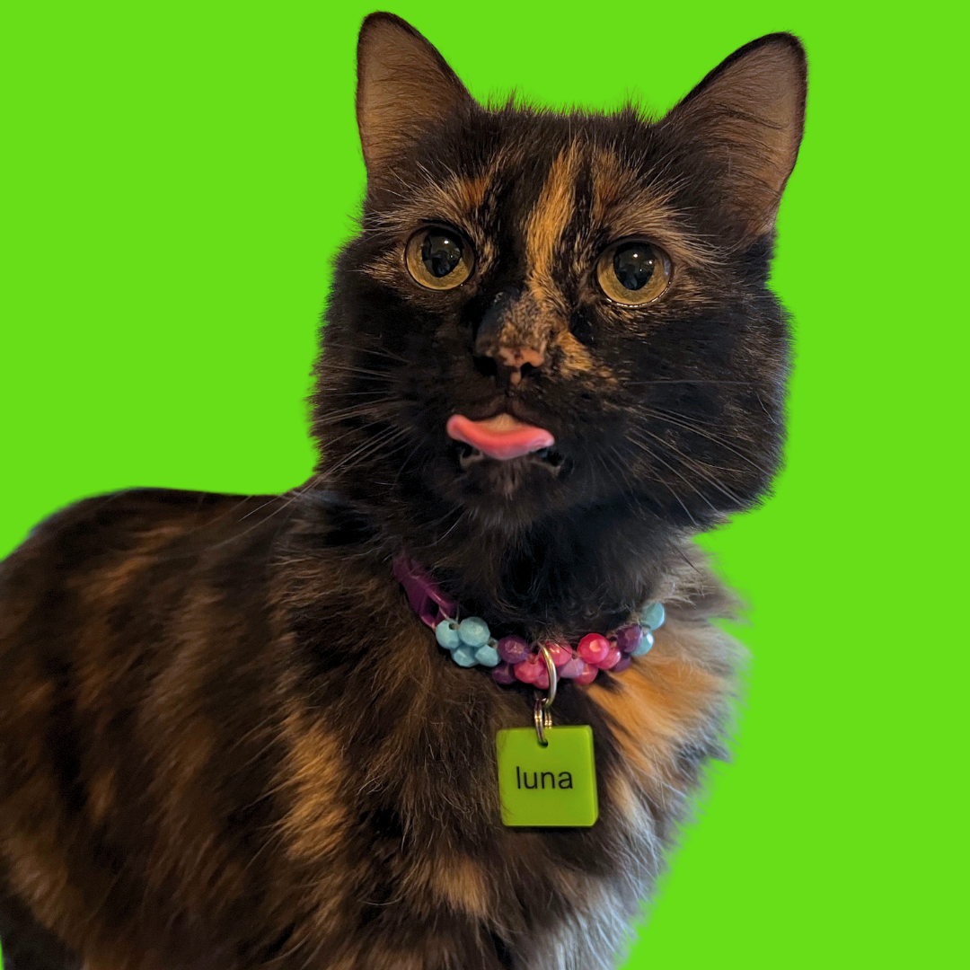 Brat Pet Tag